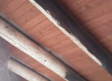 Wood Treatment & Restoration