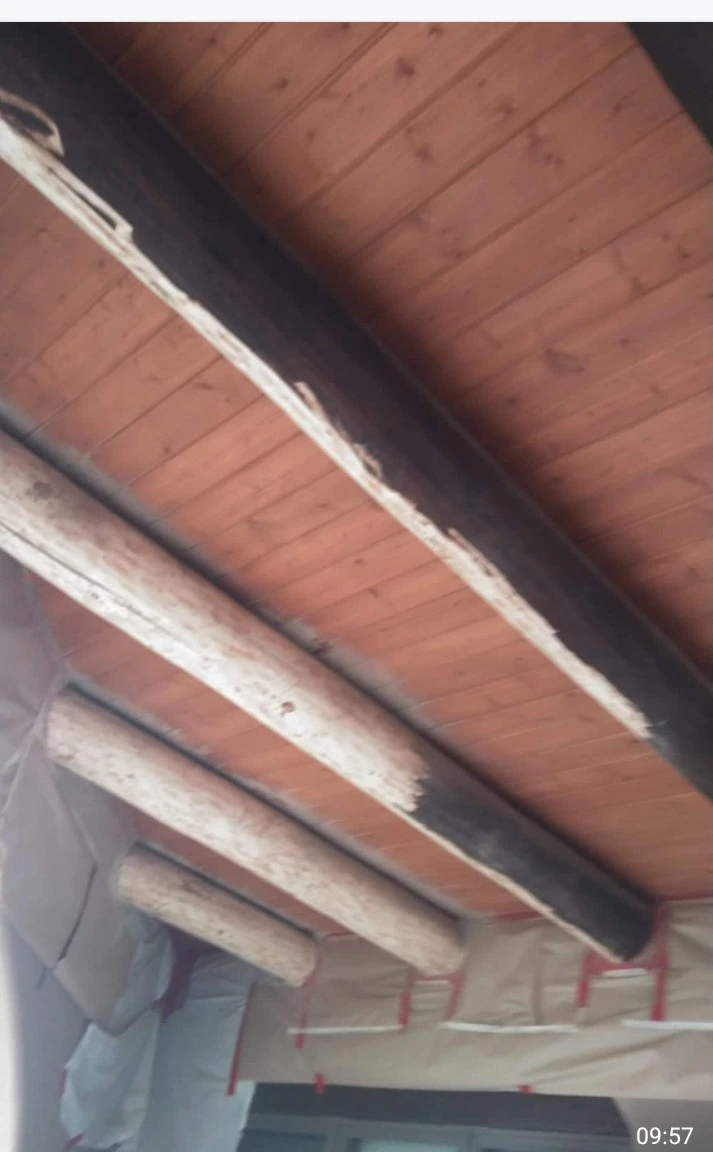 Strong and Durable Structures Paint